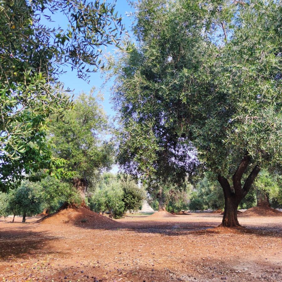 Masseria La Foggia Fasano Exterior foto